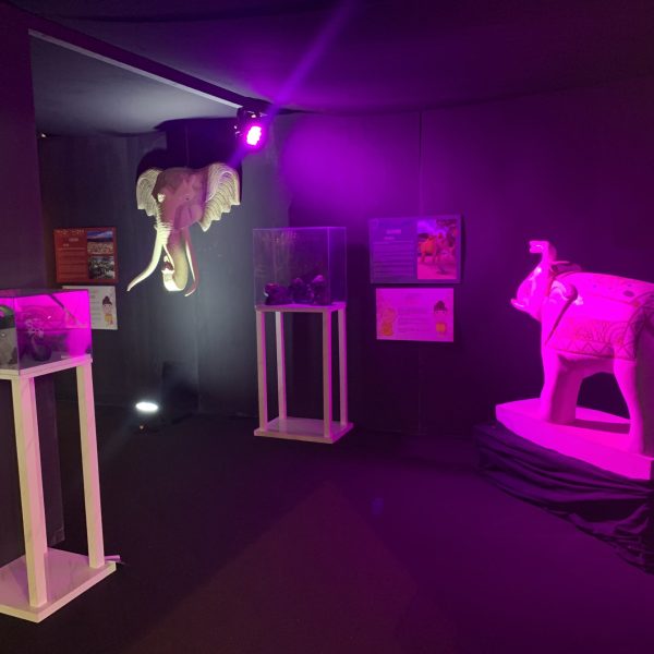 la légende des éléphants blancs